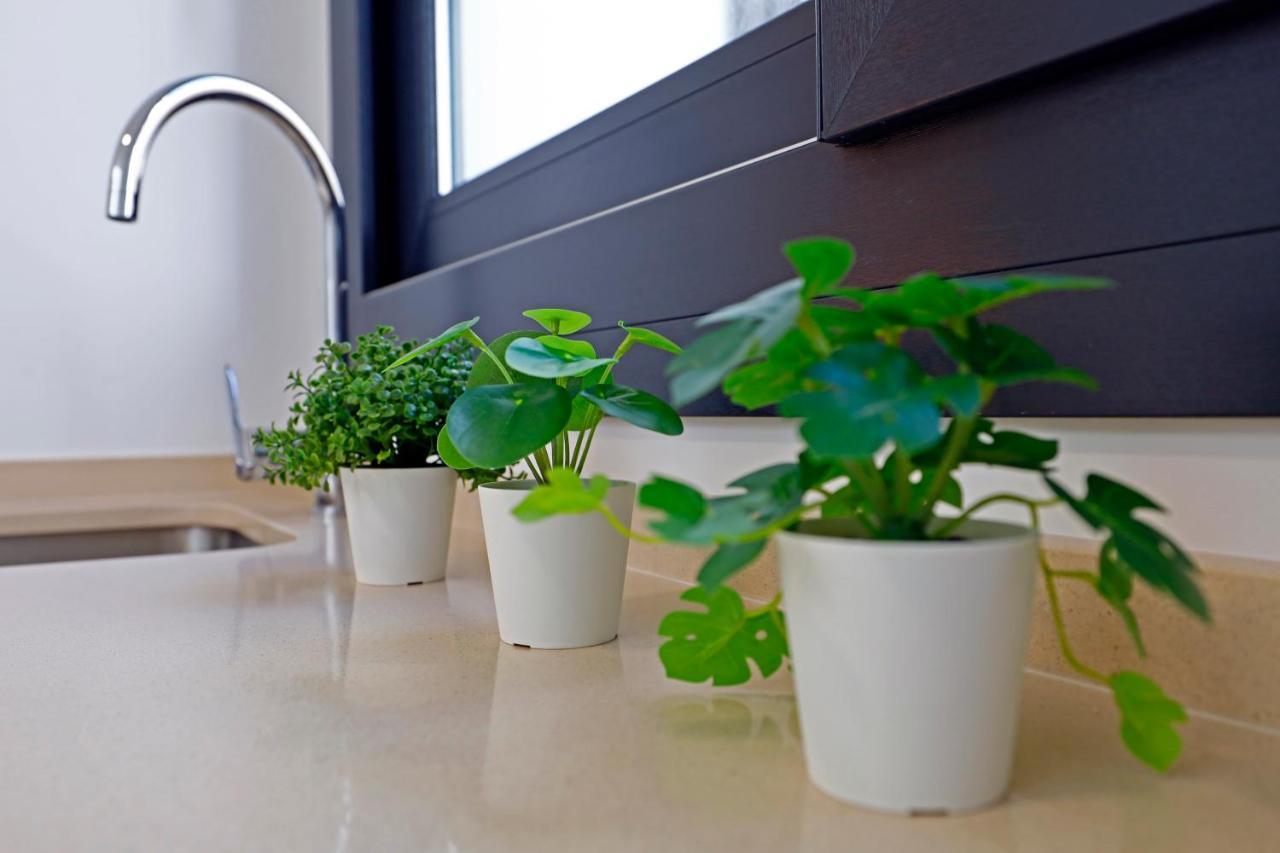 Victoria Suites Apartments Kordoba Zewnętrze zdjęcie